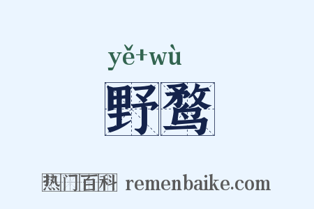 野鹜是什么意思的图片